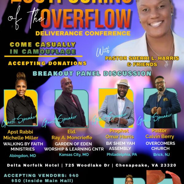 The Outpouring Of The Overflow (VENDORS)